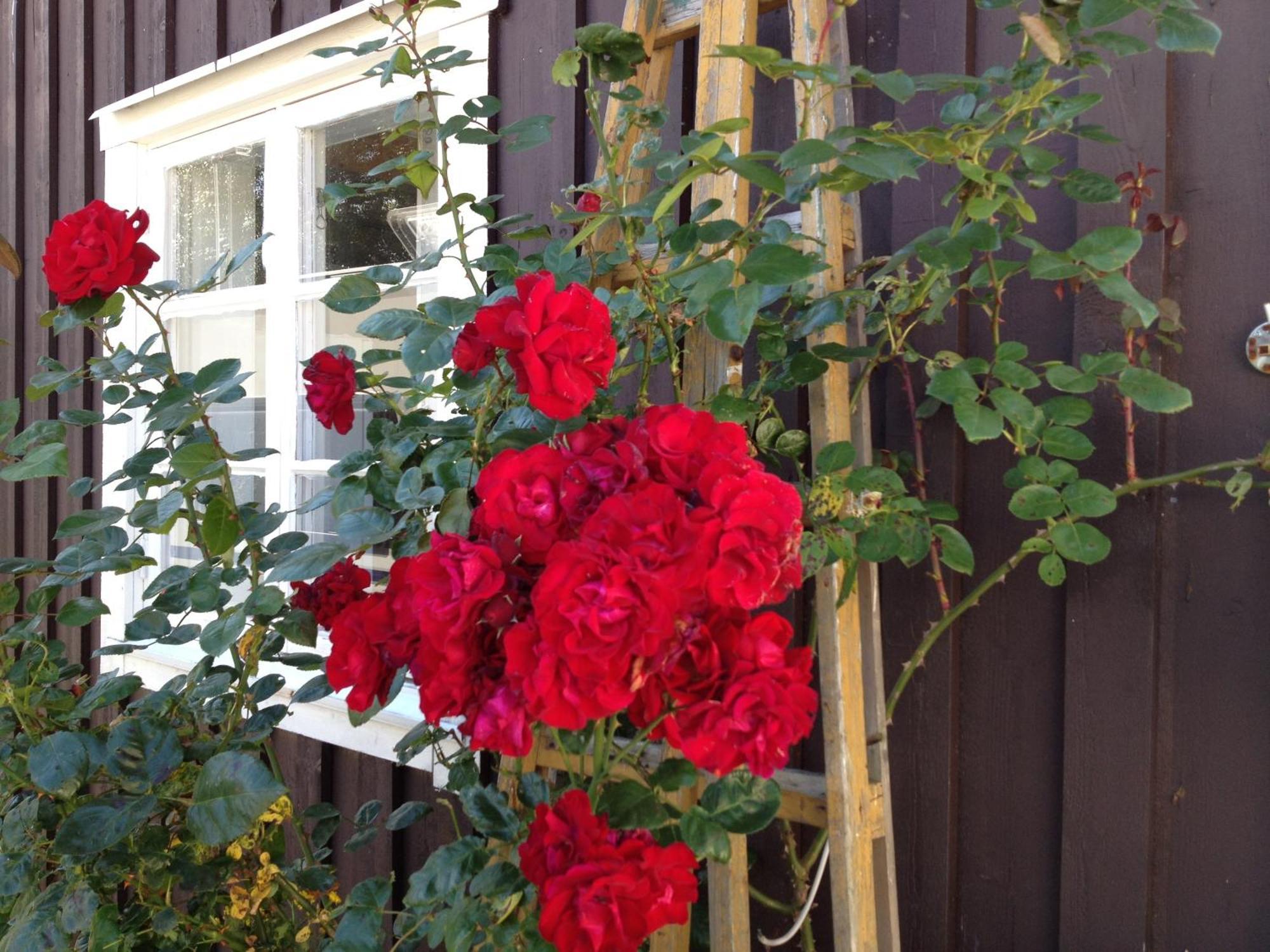Bed and Breakfast Asa Jutegard Exterior foto